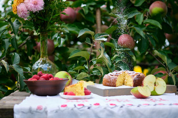 Mistress sprinkles powdered apple pie with sugar. Rustic still life: sunny bright day, apple pie under an apple tree on an old table, fruits and berries, flowers.