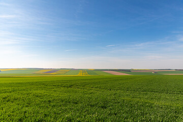 Fototapeta na wymiar Agricultural fields in L'Epin, France