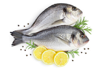 Fish dorado isolated on white background with clipping path and full depth of field. Top view. Flat lay