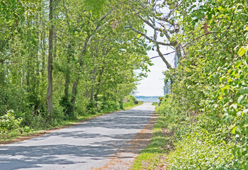 A wooded lane leads down to the shore with Buzzards Bay in the background.