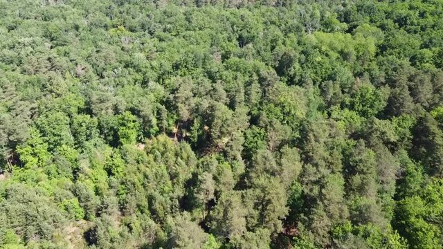 survol de la for&ecirc;t de Fontainebleau