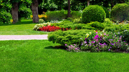 landscape garden flowerbed with plants in a leisure backyard with flowers and  trees on sunny summer day nobody.