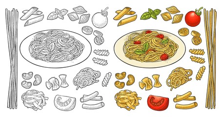 Different types macaroni. Vector vintage black engraving isolated on white