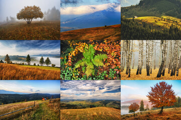 Autumn Collage. series of autumn landscapes