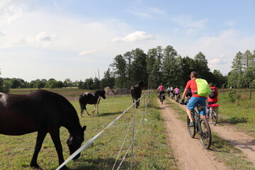 Wycieczka rowerowa i konie