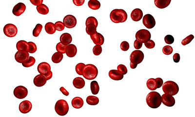 Erythrocyte, red blood cells, anatomy medical concept. 3d rendering