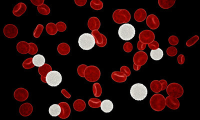 Erythrocyte, red blood cells, anatomy concept. 3d rendering