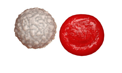 white blood cell, leucocyte. 3d render