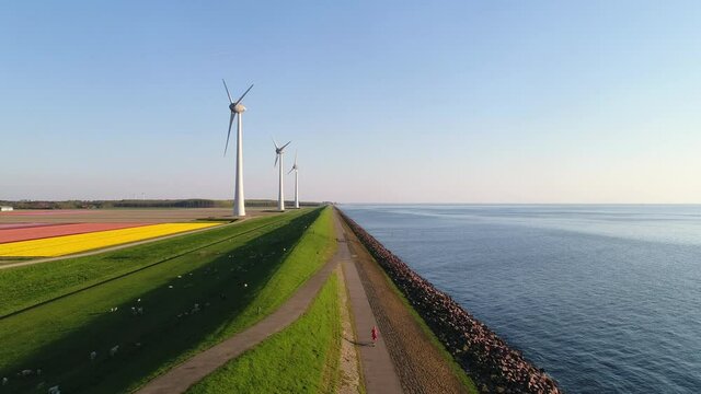 WS AERIAL POV Girl cycling on road along wind farm / Urk, Flevoland, Netherlands