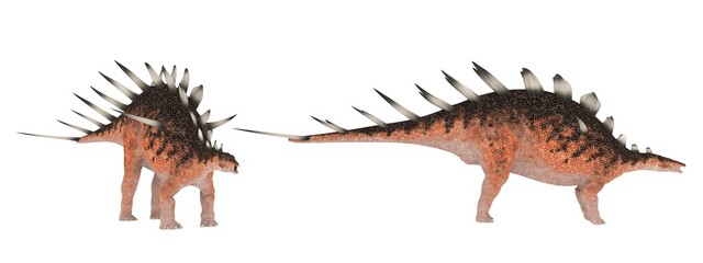 Kentrosaurus. Dinosaur isolate on white