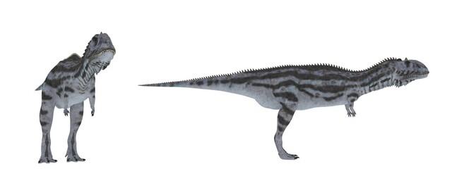 Majungasaurus. Dinosaur isolate on white