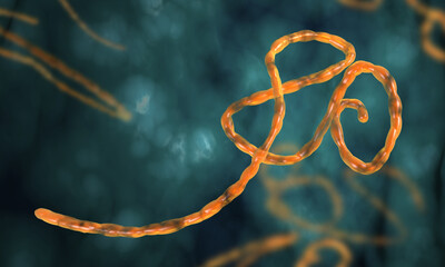 Ebola Virus