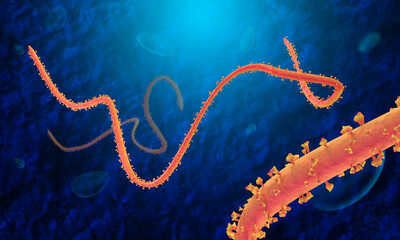 Ebola Virus