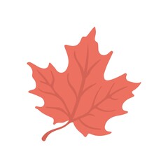 Red maple leaf icon in flat design style. Illustration for an autumn symbol, a seasonal themed concept, the fall weather.