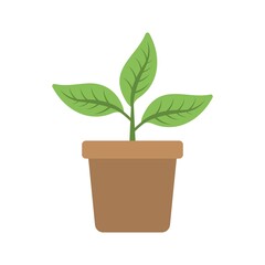 Potted plant icon in flat design style. Indoor planting icon. Creative gardening design element.