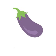 Ripe eggplant icon on white background. Flat vegetable icon for creative design element.