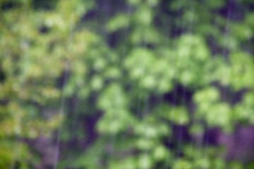 Blurred summer rain on trees background