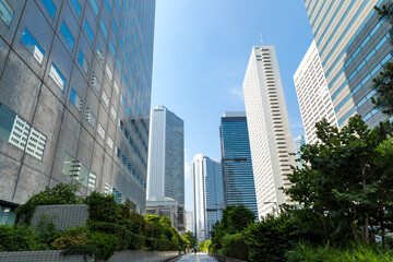 Fototapeta premium (Sceneria miejska Tokio) Nishishinjuku Sceneria budynku 5 świeżej zieleni i letniego nieba