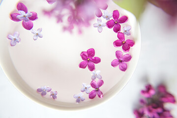 Five-pointed lilac flower among lilac flowers in a cup with water. Lilac branch with a flower with...