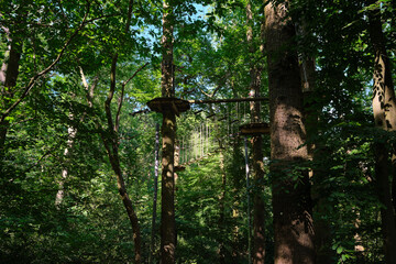 Fototapeta premium Treetop adventure park with rope course.