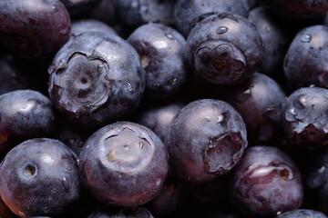 Ripe blueberries close up. Farmer's berry for health.