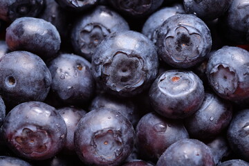 Ripe blueberries close up. Farmer's berry for health.