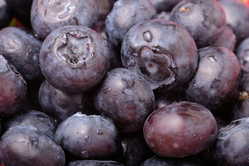 Ripe blueberries close up. Farmer's berry for health.