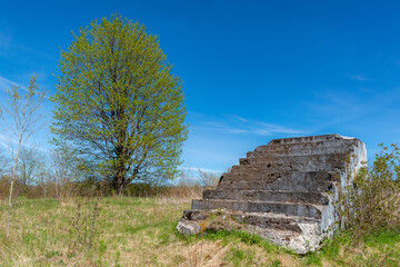 An old set of leading up to nowhere. The stairs are crumbling in places, and have moss and lichens...
