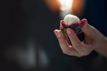 peeled mangosteen in hand with dark background, peeled mangosteen in hand with copy space text