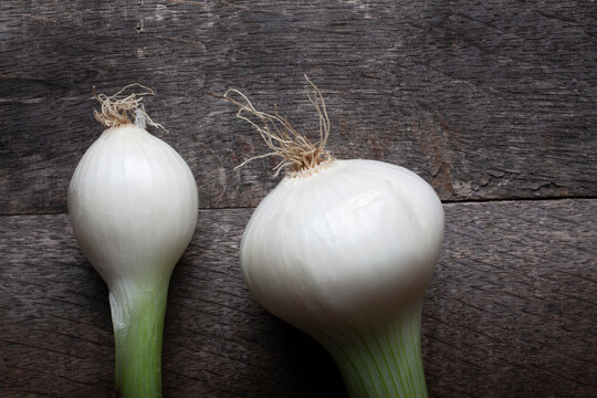 Two White Onios on a Desk