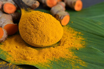 Turmeric powder and turmeric (curcumin) root on black background,For cooking and as herbs,copy space.