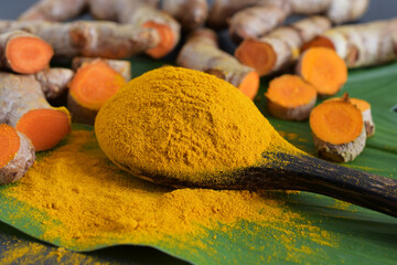 Turmeric powder,leaves and fresh turmeric (curcumin) on black background,Is herbs and spices.