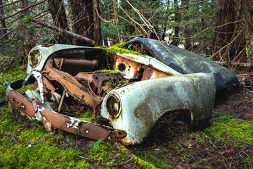 A vintage automobile rusts in a forest of Douglas fir trees in Northern Gulf Islands, British Columbia, Canada.
