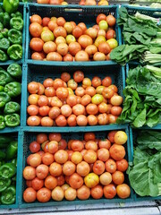 Drawers with assorted vegetables, red tomatoes, green bell peppers lettuce, vegetables on the market