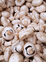 Rustic mushrooms, vegetables on the market