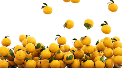 Fresh oranges falling with water drops. Food concept. 3d rendering
