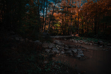 A sign on the side of a tree
