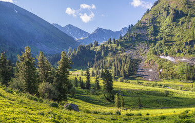 Scenic view, mountain flowering valley, alpine meadows	