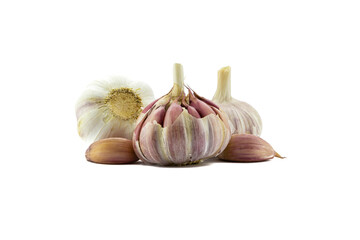 garlic isolated on white
