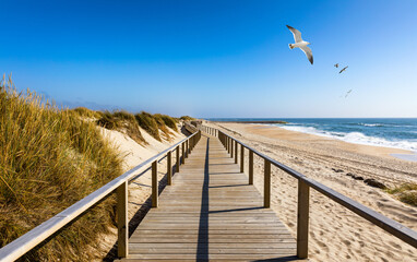 Wooden path at Costa Nova d'Aveiro, Portugal, over sand dunes with ocean view and seagulls flying over Praia da Barra. Wooden footbridge of Costa Nova beach in a sunny day. Aveiro, Portugal. - Powered by Adobe
