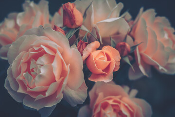 Blumen-Hintergrund geschlossen  Natur-Hintergrund  Vintage-Stil © joeycheung