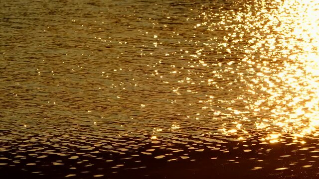MS Rippled water surface with gold reflections of sunlight / Saarburg, Saar Valley, Rhineland-Palatinate, Germany