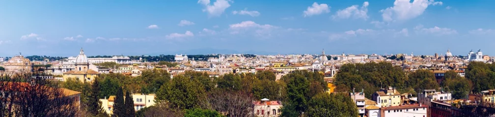 Deurstickers Panoramic view over the historic center of Rome, Italy from Castel Sant Angelo © daliu
