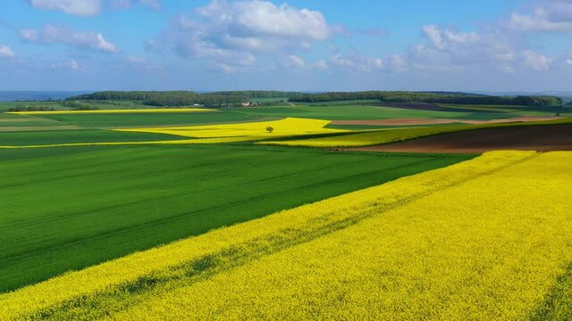 AERIAL WS Landscape with yellow and green fields / Saargau, Merzkirchen , Rhineland-Palatinate, Germany