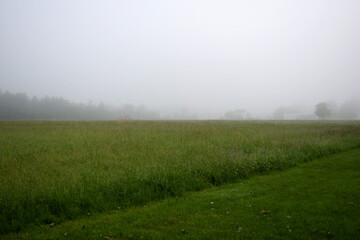 Fototapeta na wymiar Misty Morning Fog Settling Over Farmland Fields in Rural Heartland