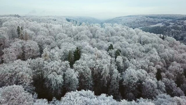 WS POV Landscape with snowy forest / Saarburg, Rhineland-Palatinate, Germany