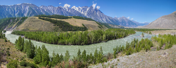 Picturesque valley in the Altay Mountains. The Argut River, greenery along the banks and snow-capped peaks. Panoramic view of the summer landscape.