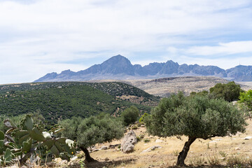 The ABANDONED BERBER VILLAGE OF ZRIBA OLIA in tunisia
