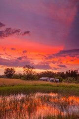 Beautiful ,autumn, sunset over old wooden slab hut. Westbrook near Singleton,in the Hunter Valley of N.S.W. Australia.