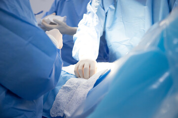 Fototapeta premium Medical team of surgeons in hospital doing caesarean